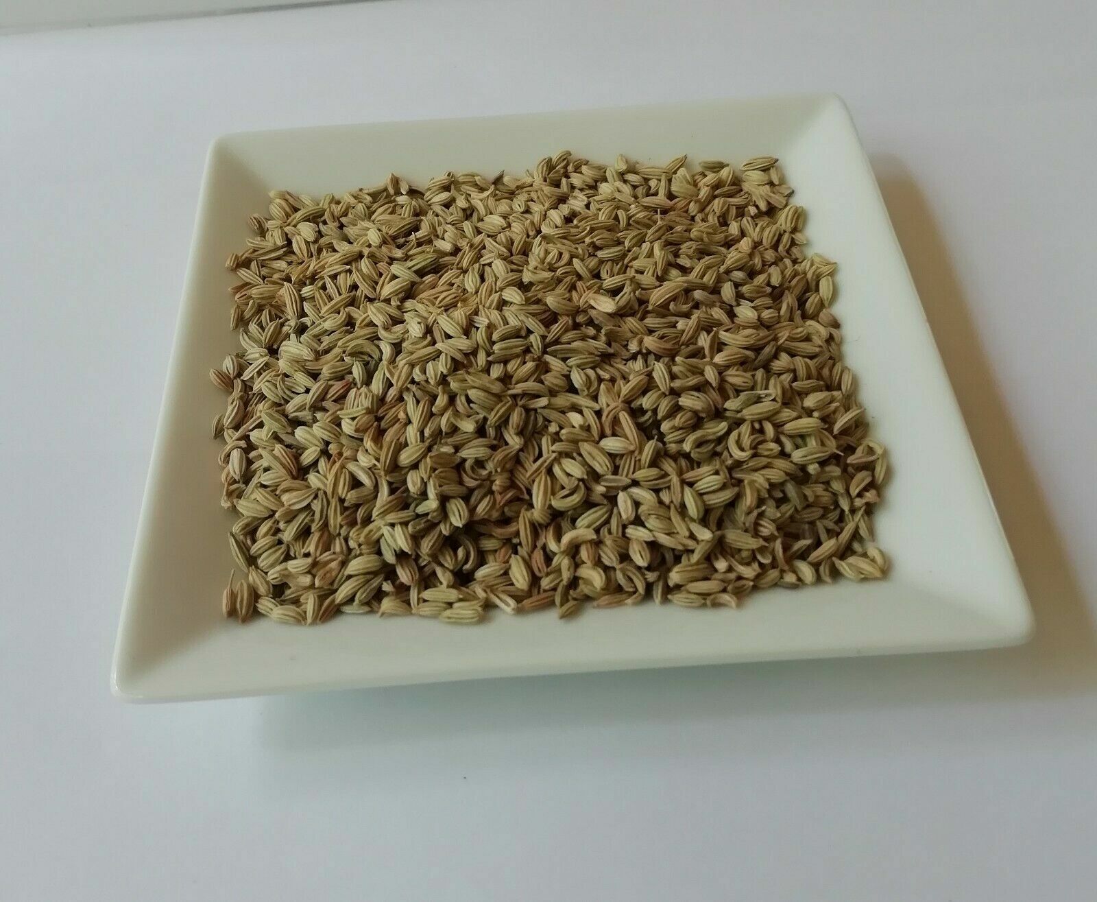 Food to Live Whole Fennel Seeds, Non-GMO Verified, Dried, Raw-100g