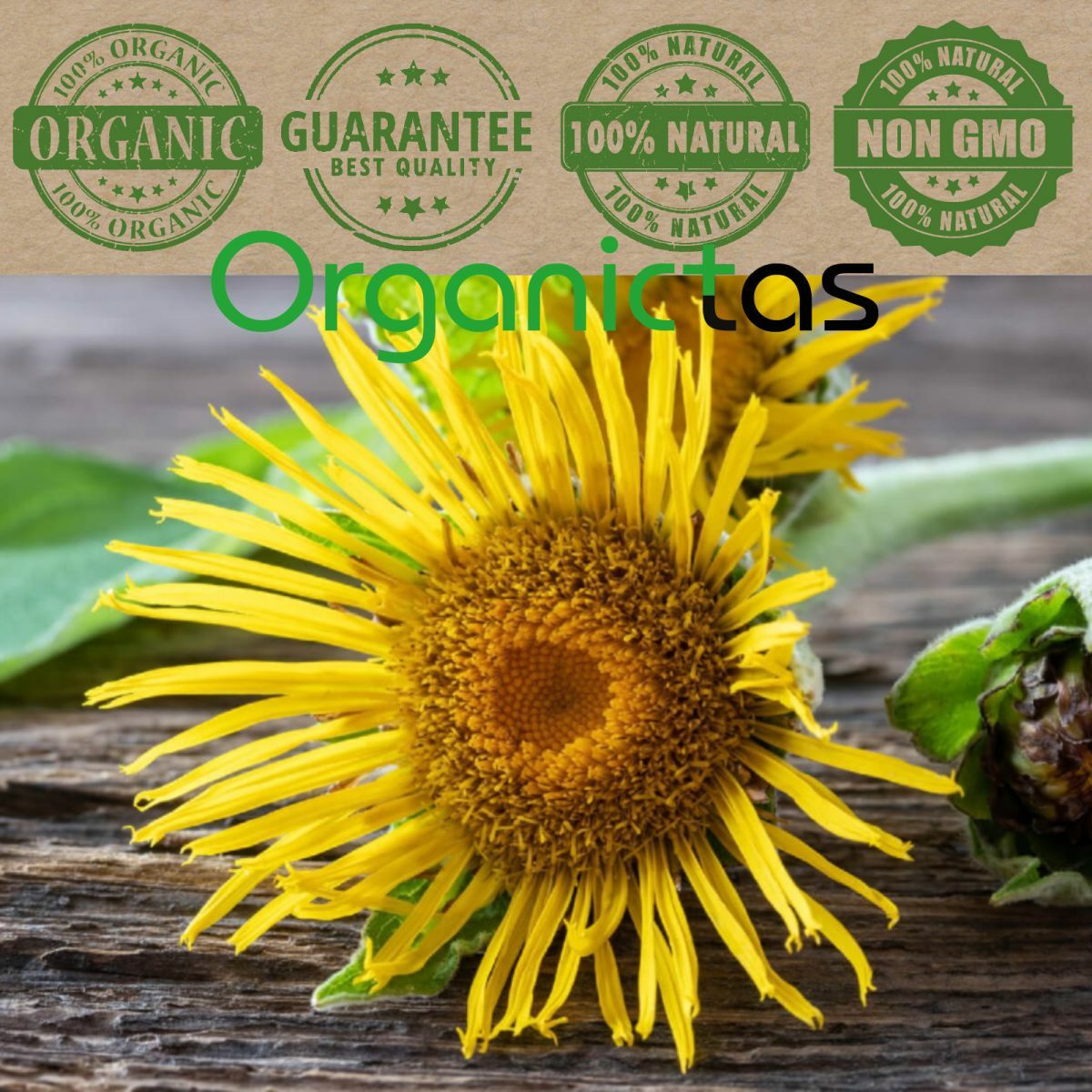 ELECAMPANE ROOT organic Herbal Tea Premium Quality Loose Cut Inula Helenium