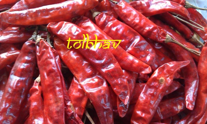 100% Natural Pure Dry Red Chilli Whole Mirch Premium Best Quality From India