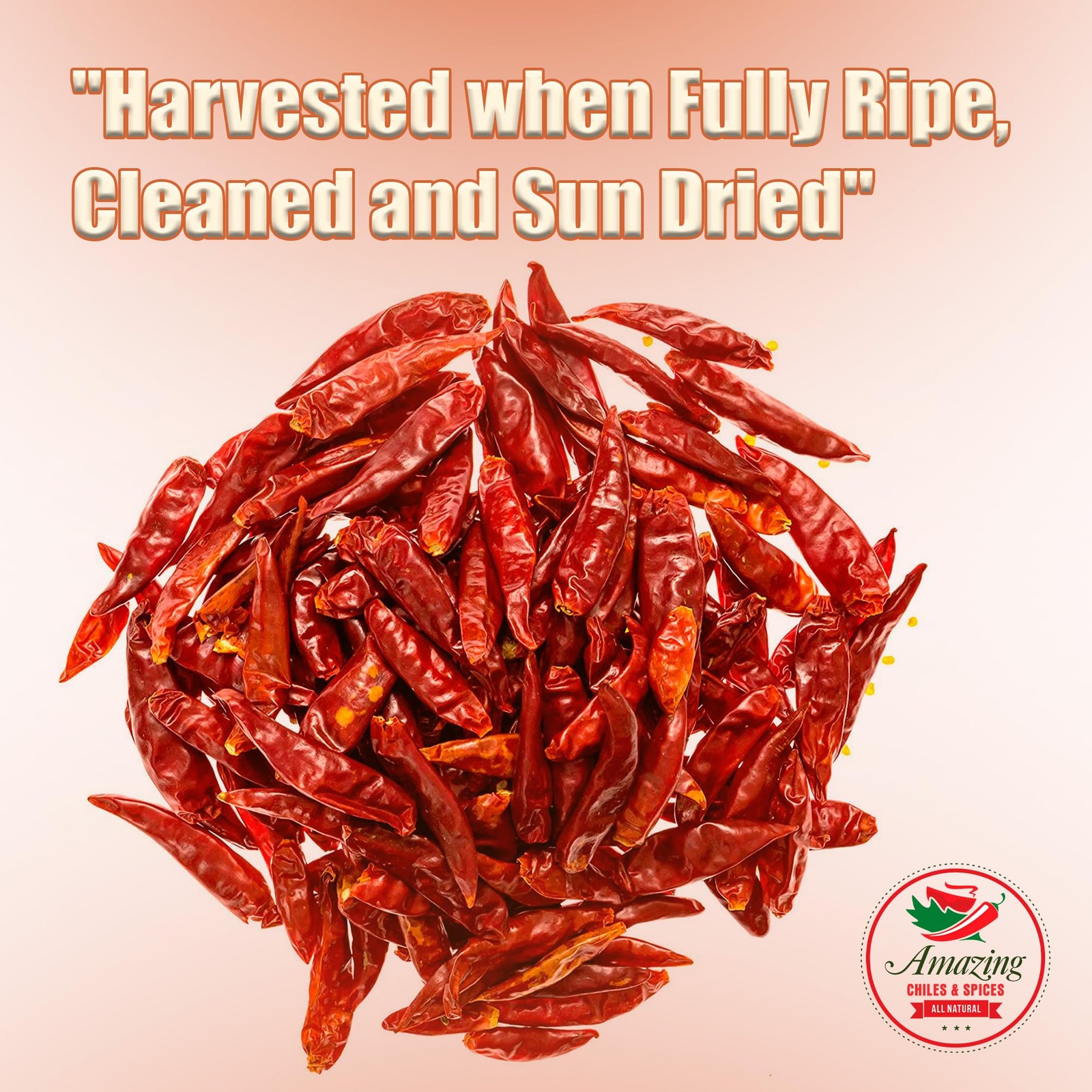 Chile De Arbol 1LB (16oz) – Dried Whole Red Chili Peppers, Premium 16 Ounce