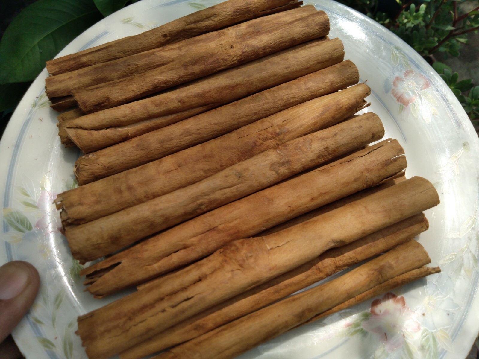 Ceylon Cinnamon sticks – Organic High Quality Pure Natural True Sri Lankan 100 g
