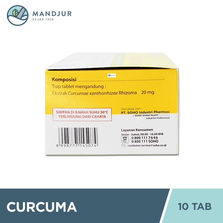 Curcuma Turmeric Wellness Tablets 10 Count Natural Daily Herbal Supplement