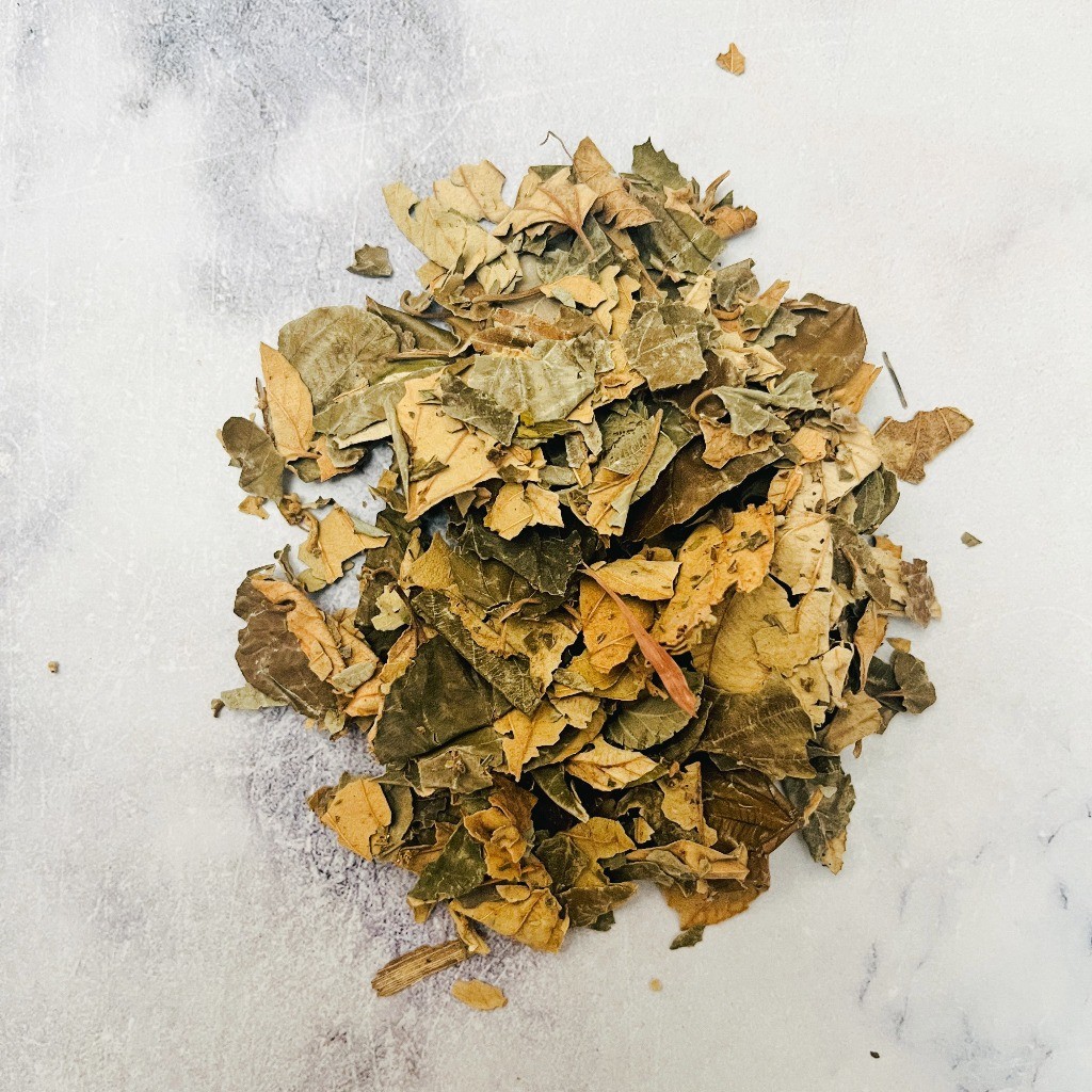 Daun Bidara Kering Dried Sidr Leaves 50g aroma ritual culinary heritage premium