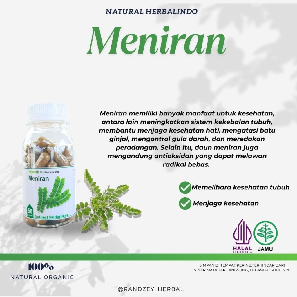 Meniran Herbal Capsules 50 Caps Indonesian Traditional Formula