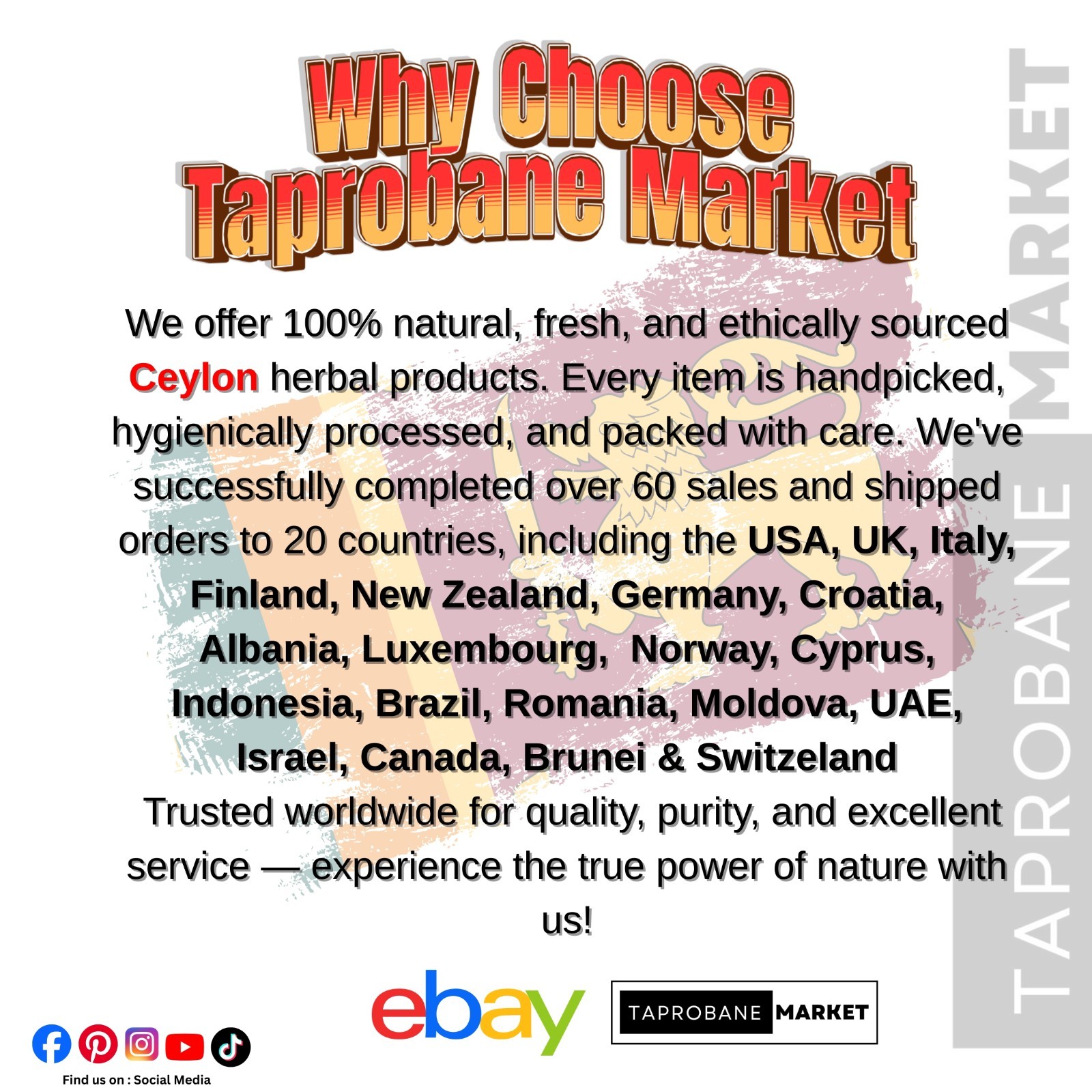 Ceylon Red Cloves Whole Organic Clove Buds | Fresh Natural Spice Bulk
