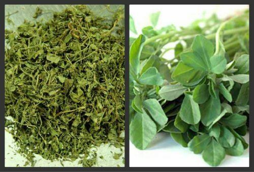50g | DRIED FENUGREEK LEAVES DRY FENUGREEK LEAF METHI KASTOORI