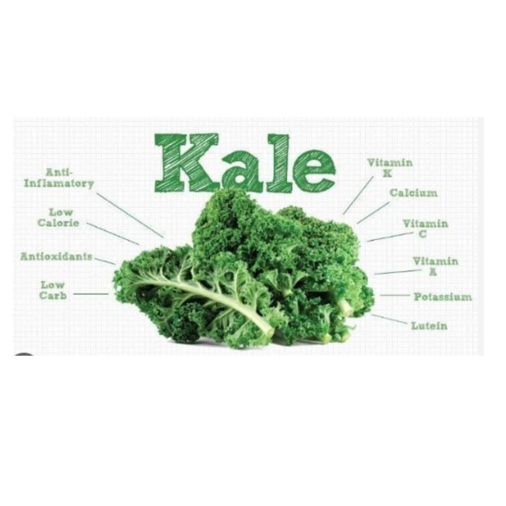 Kale Powder Superfood Brassica Thai Organic Moonfarms Oleracea Oz No Flour No Su