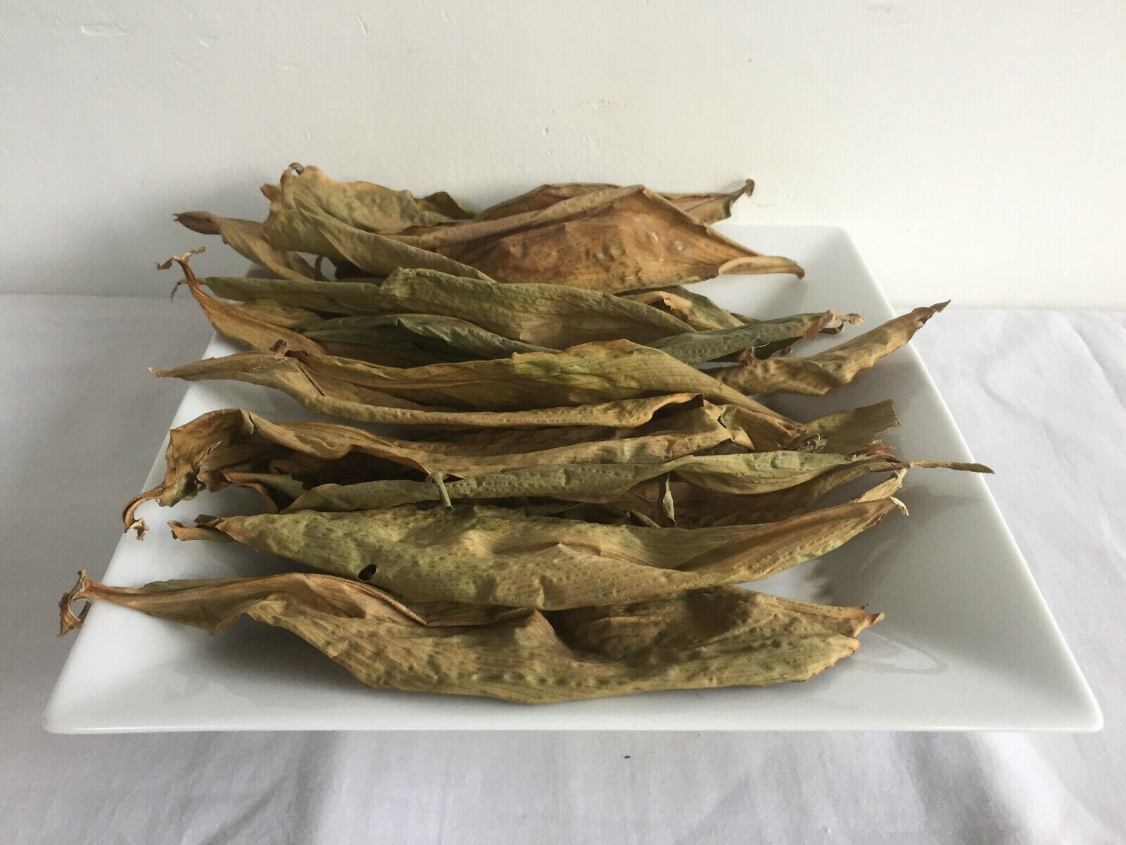 Insulin Canereed/Costus/Thebu Dried Leaves 100% Ceylon Organic -Diabetic Patient