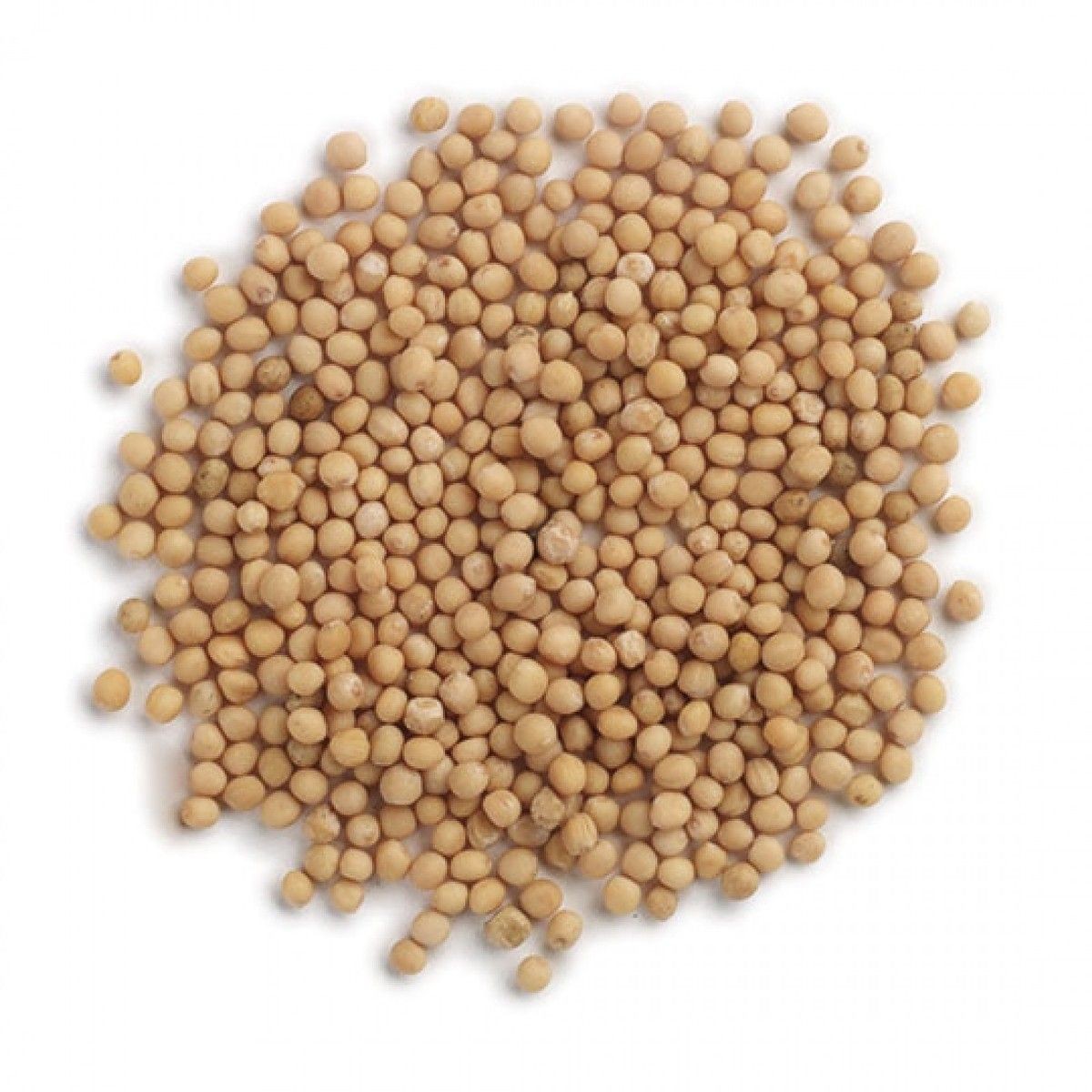 Mustard Seed, Whole, Yellow, Organic, 1 lb.