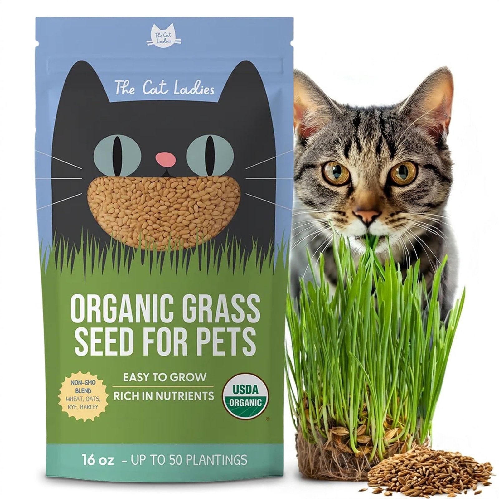 100% Organic Cat Grass Seed – Non-GMO, 16oz – Perfect for Indoor Cats & Kittens