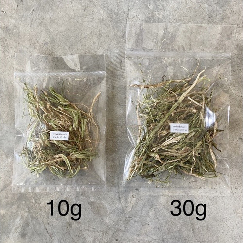 C2 Dried Coriander Root Spices Food Thai Cilantro Drying Fresh Aromatic Herb