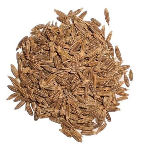 Cumin Seeds-Multi Pack-Packed Fresh in USA-US Seller Multi Discount
