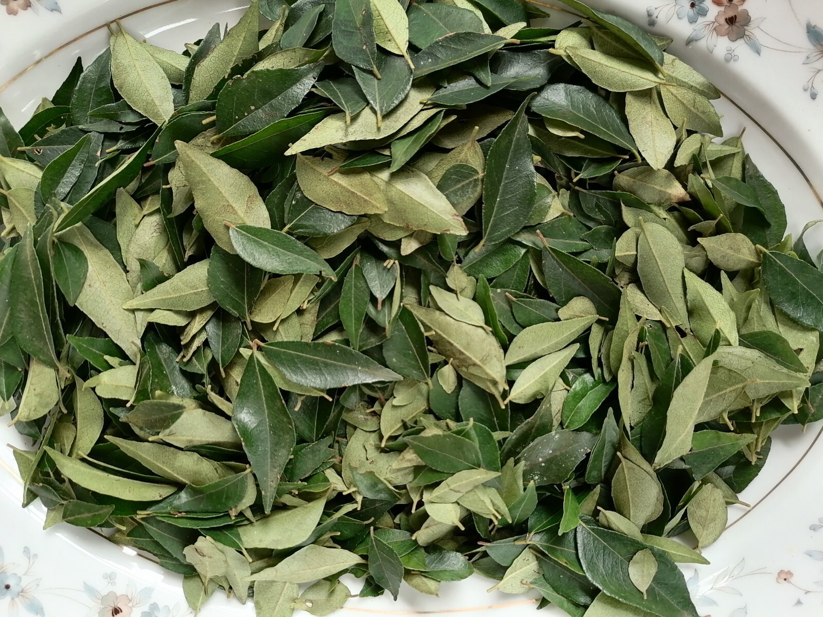 Fresh Dried Curry Leaves Murraya Koenigii Organic Natural Leaves Ceylon 250g