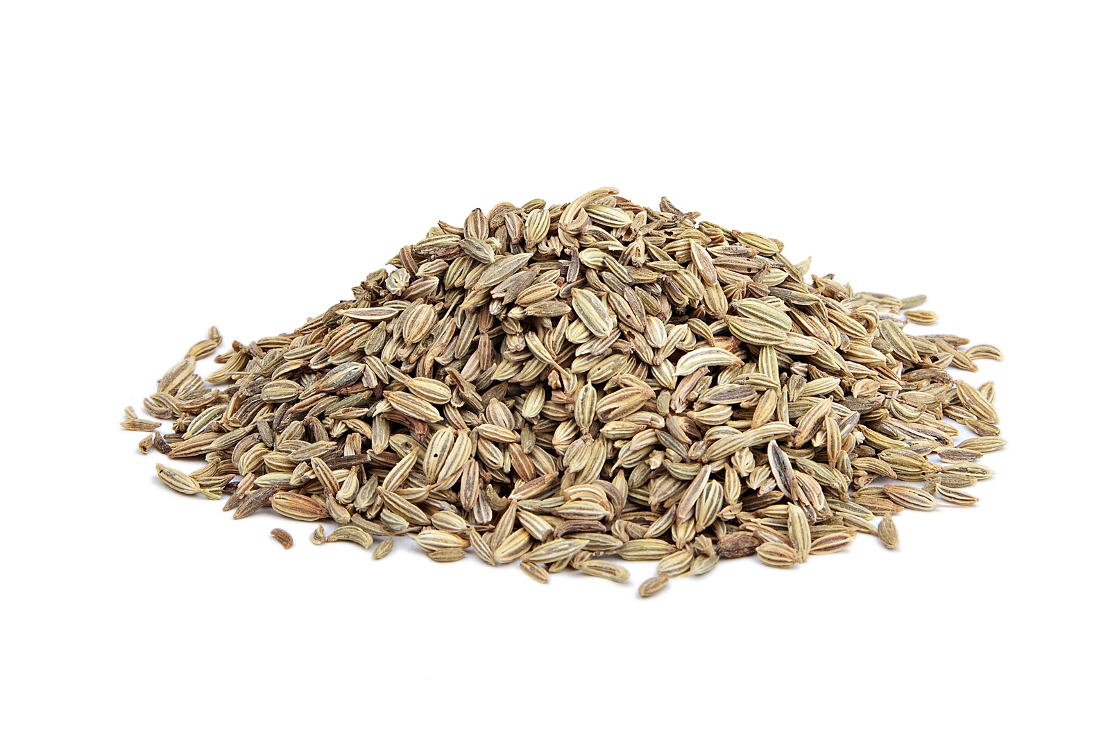 The Spice Way Fennel Seed
