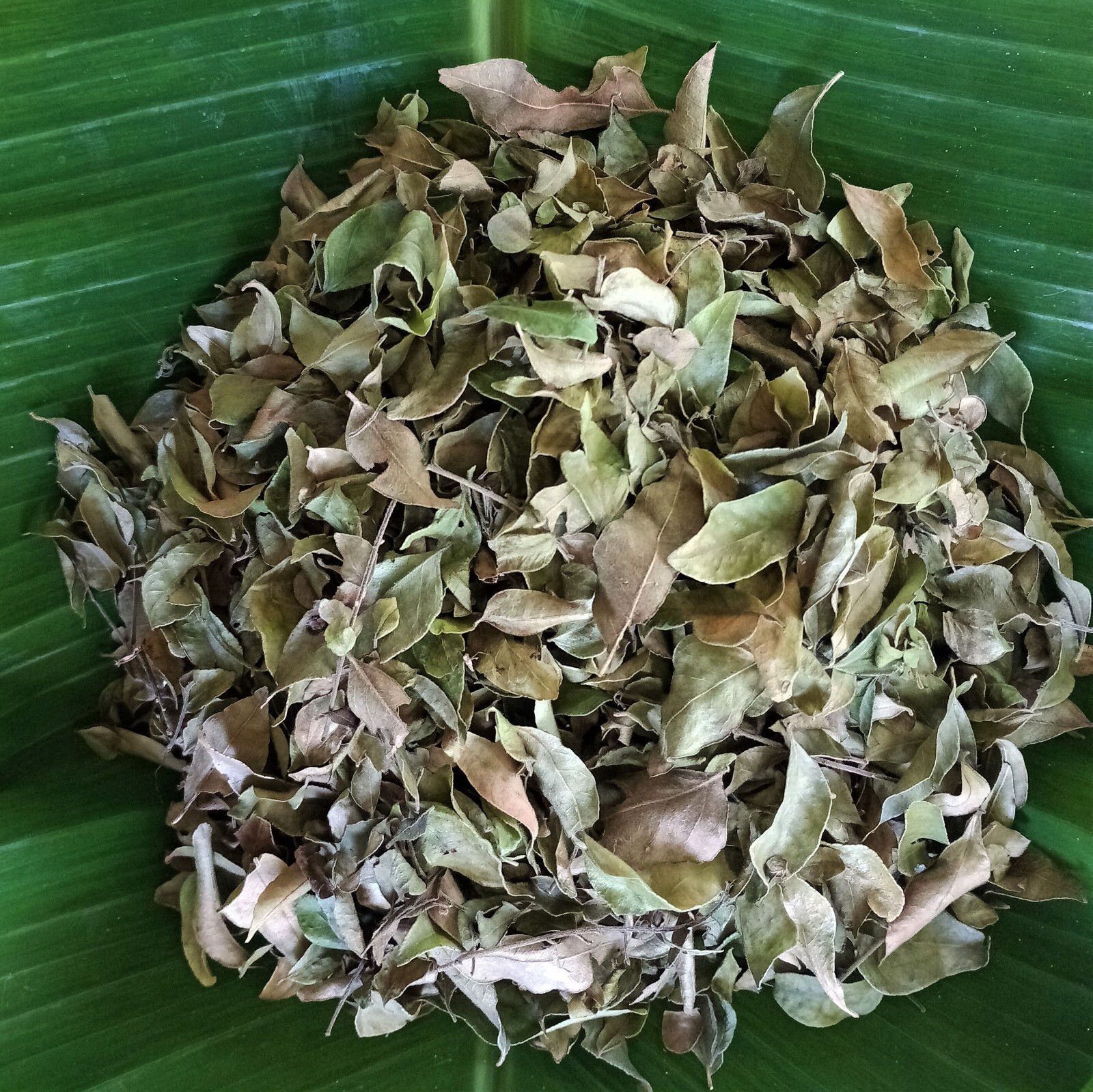 Dried organic Curry Leaves leaf Natural pure Premium quality [20g]