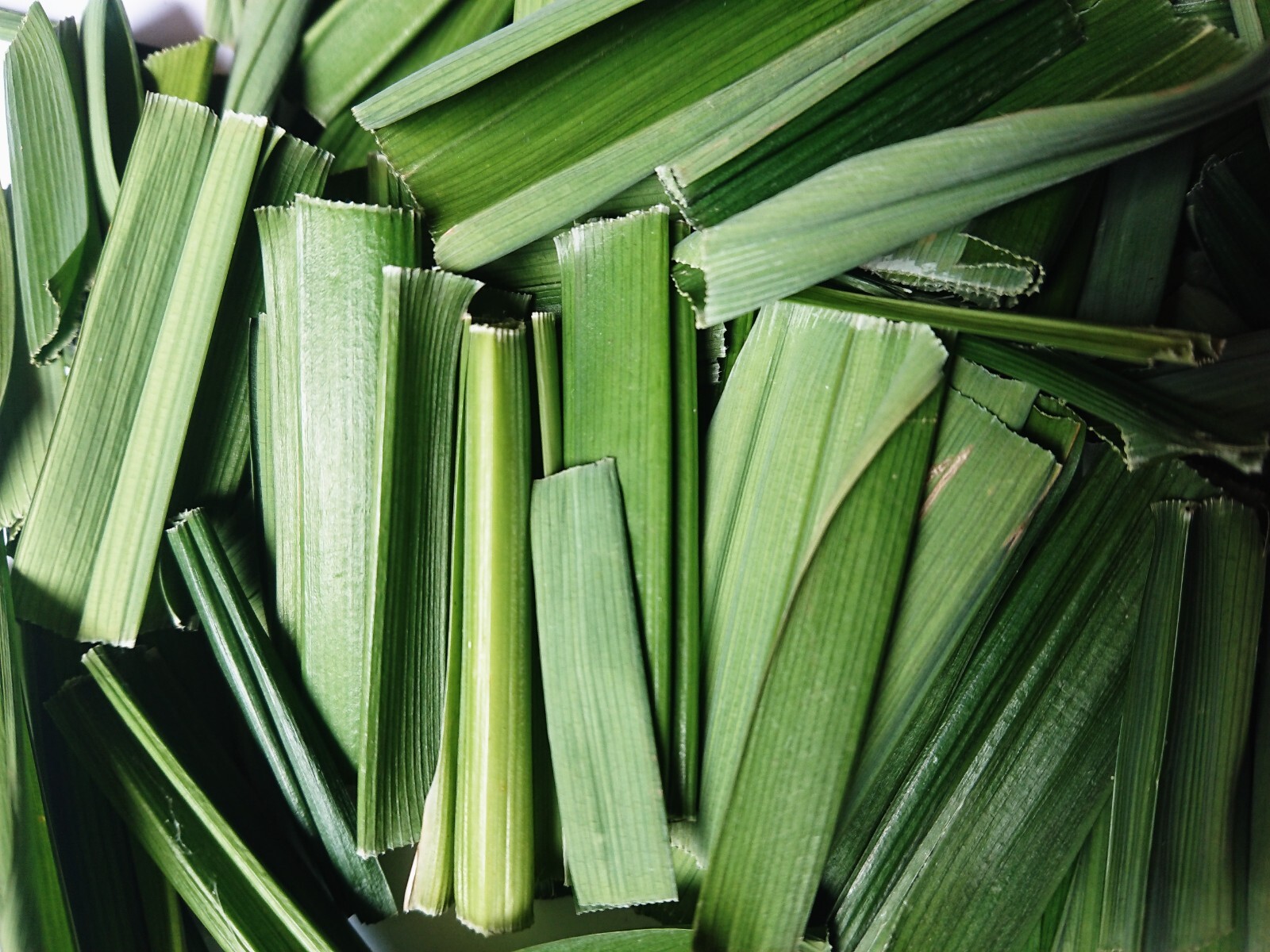 Dried Pandan Leaves Cut Organic Pure Dehydrated Quality Ceylon Spices Sundried