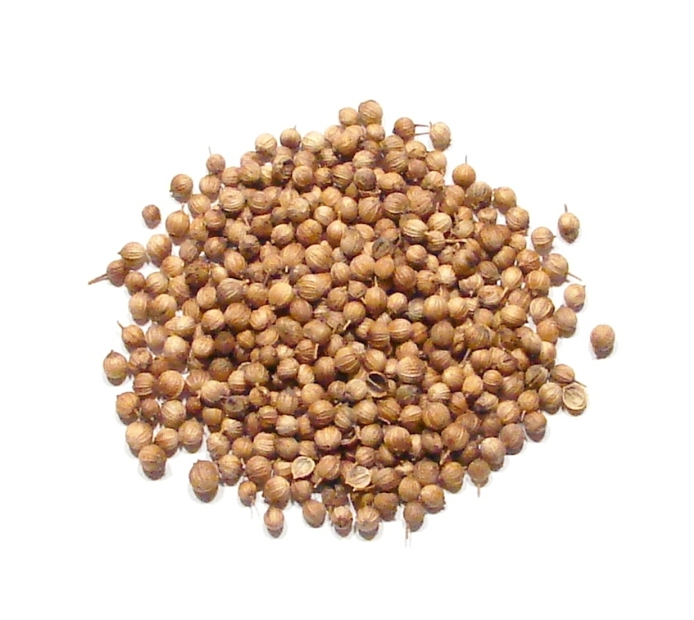 Coriander Seeds, Whole – 1 Pound – Cilantro Seed Culinary Spice