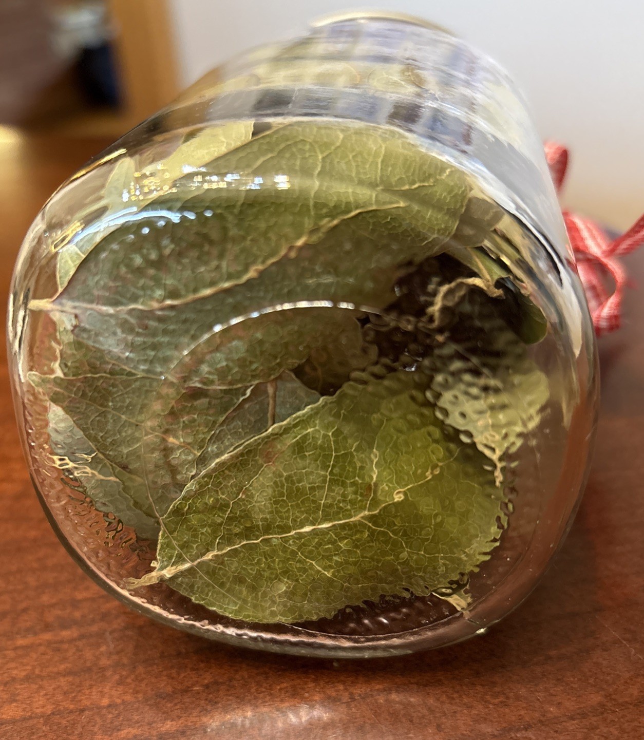 Dried California Bay Laurel Leaves (50) Classic Mason Jar Hand-Picked in Oregon