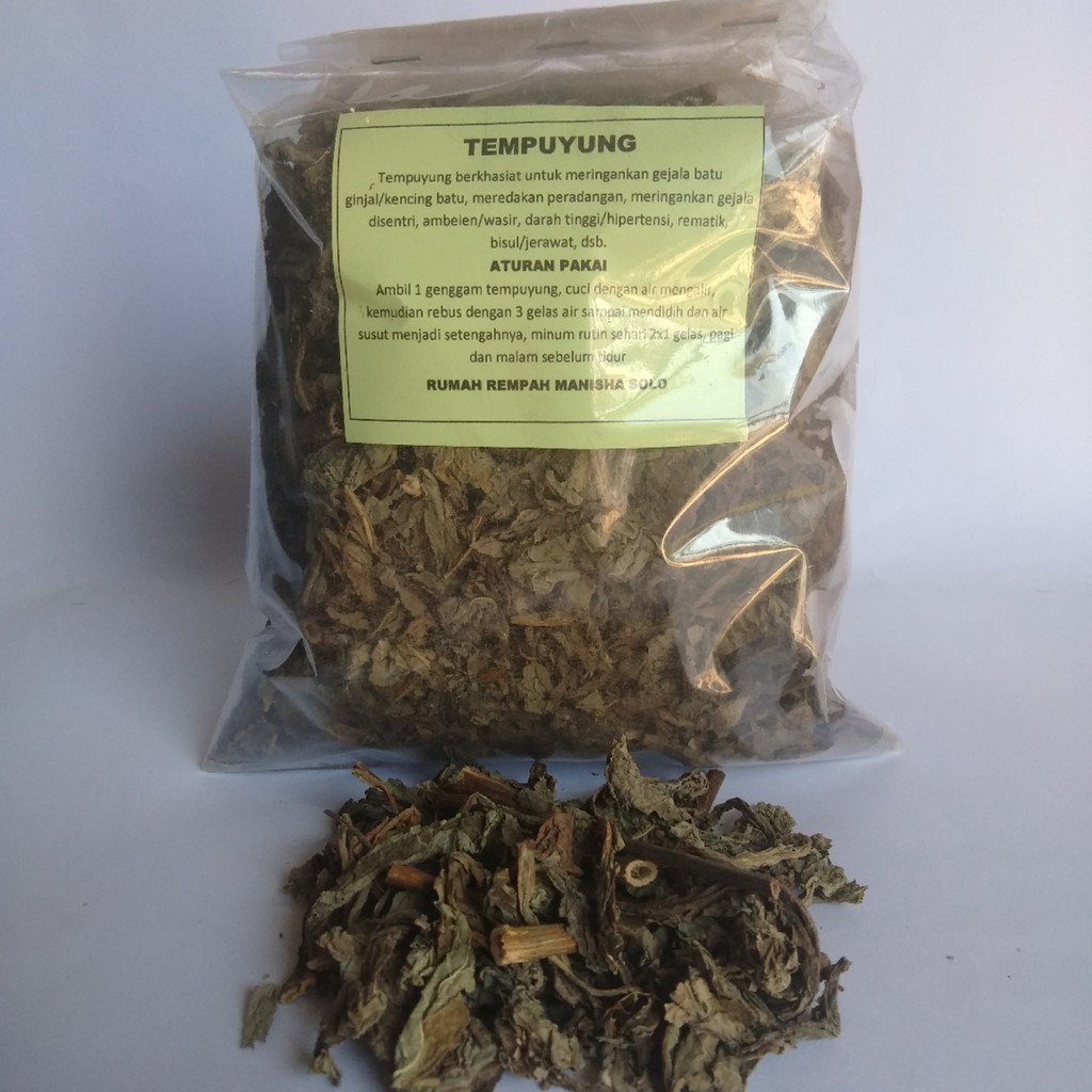 Tempuyung Dried Leaves 100g Indonesian Traditional Herbal Leaf