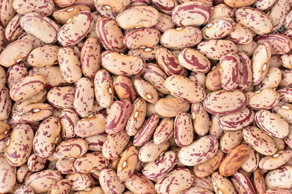 Pinto Beans Dry Frijoles Pintos Bulk 3 lb. bags. Non-GMO Pantry Storage Food