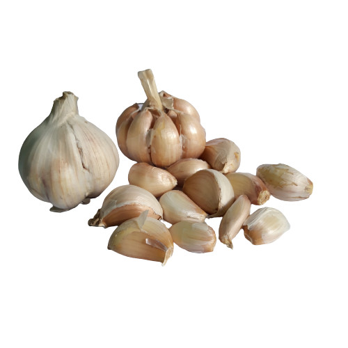 HEIRLOOM GARLIC BULBS WHOLE UNPEELED Sri Lankan Organic Fresh Quality 250g NEW
