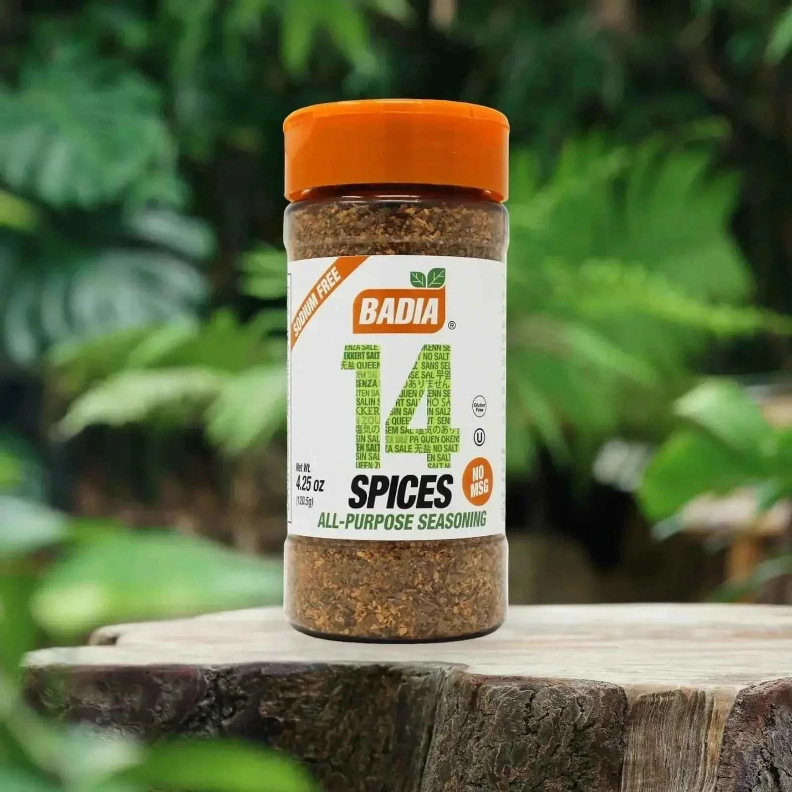 Badia® 14 Spices Salt-Free All Purpose Seasoning, 4.25 oz Savory Blend (2 Pack)