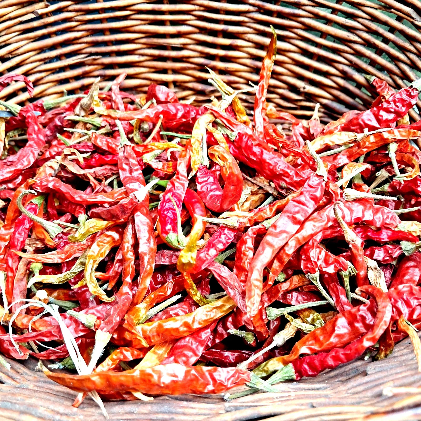 Milpas 6 oz Dried Arbol Whole Red Chili Pepper Spice up ur Pizza❤Ships USA