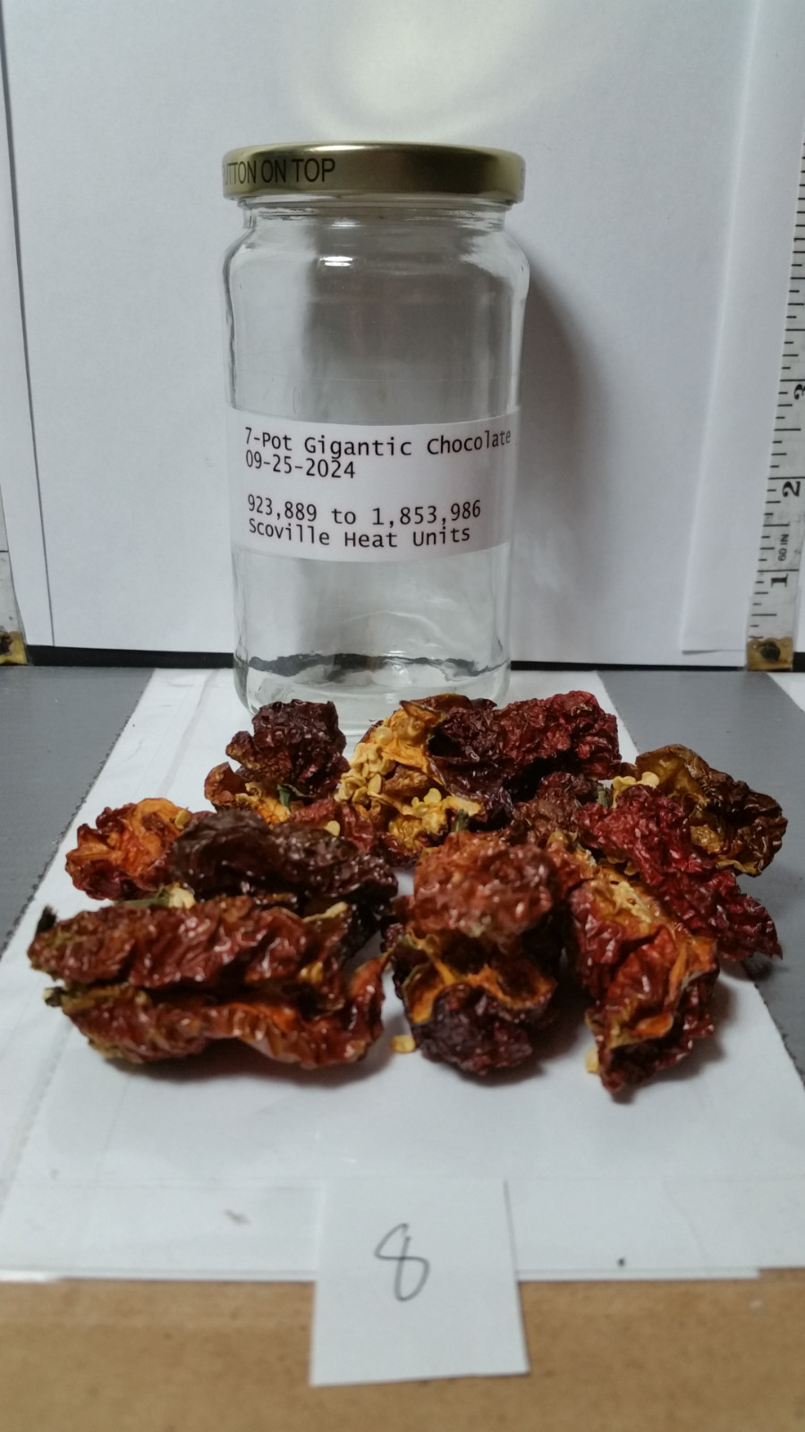 Super Hot Chili Pepper Pods ; Dried ; Organic ; Stored Cool and Dark, Sept. 2024