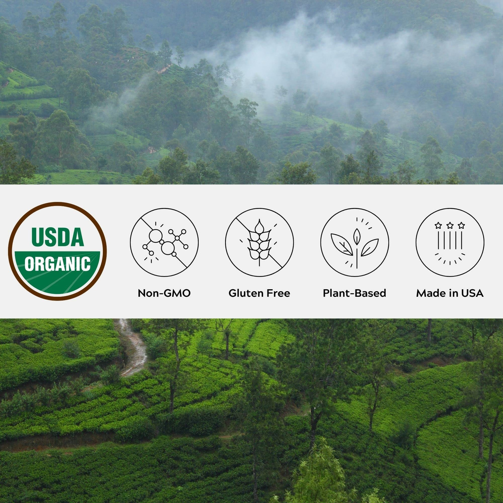 Organic Ceylon Cinnamon, Single Estate, Freshly Ground Premium Sri Lanka Cinn…