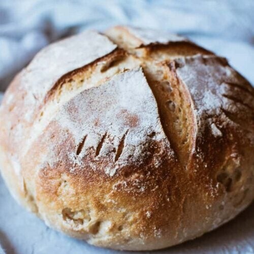 SOURDOUGH STARTER Dehydrated Sour Strong California 125+ Yrs Old – 15 Gram Bag