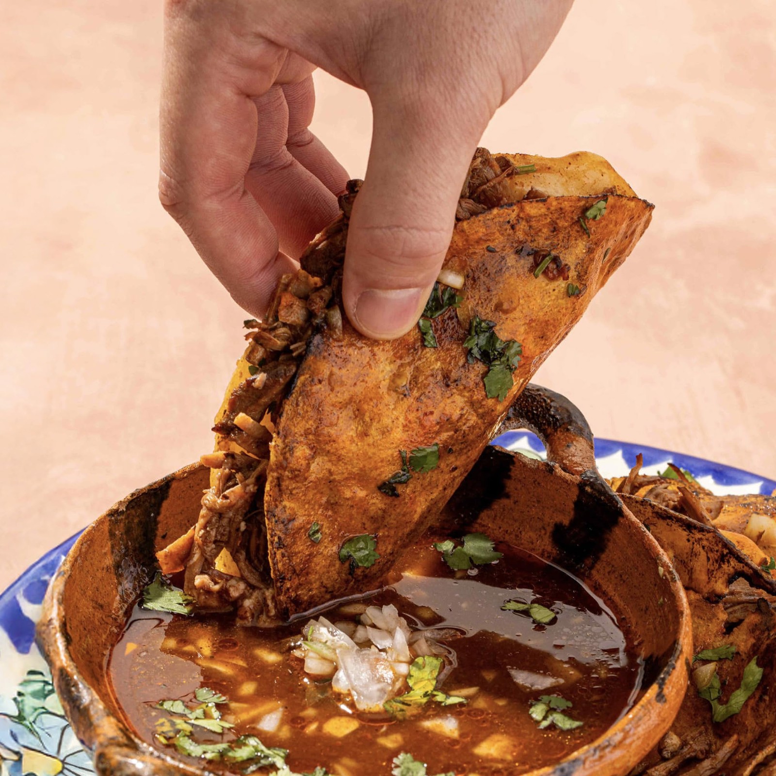 CHILEMOY Birria Balls VALUE-PACK | Authentic Mexican Seasoning | Birria Ball …