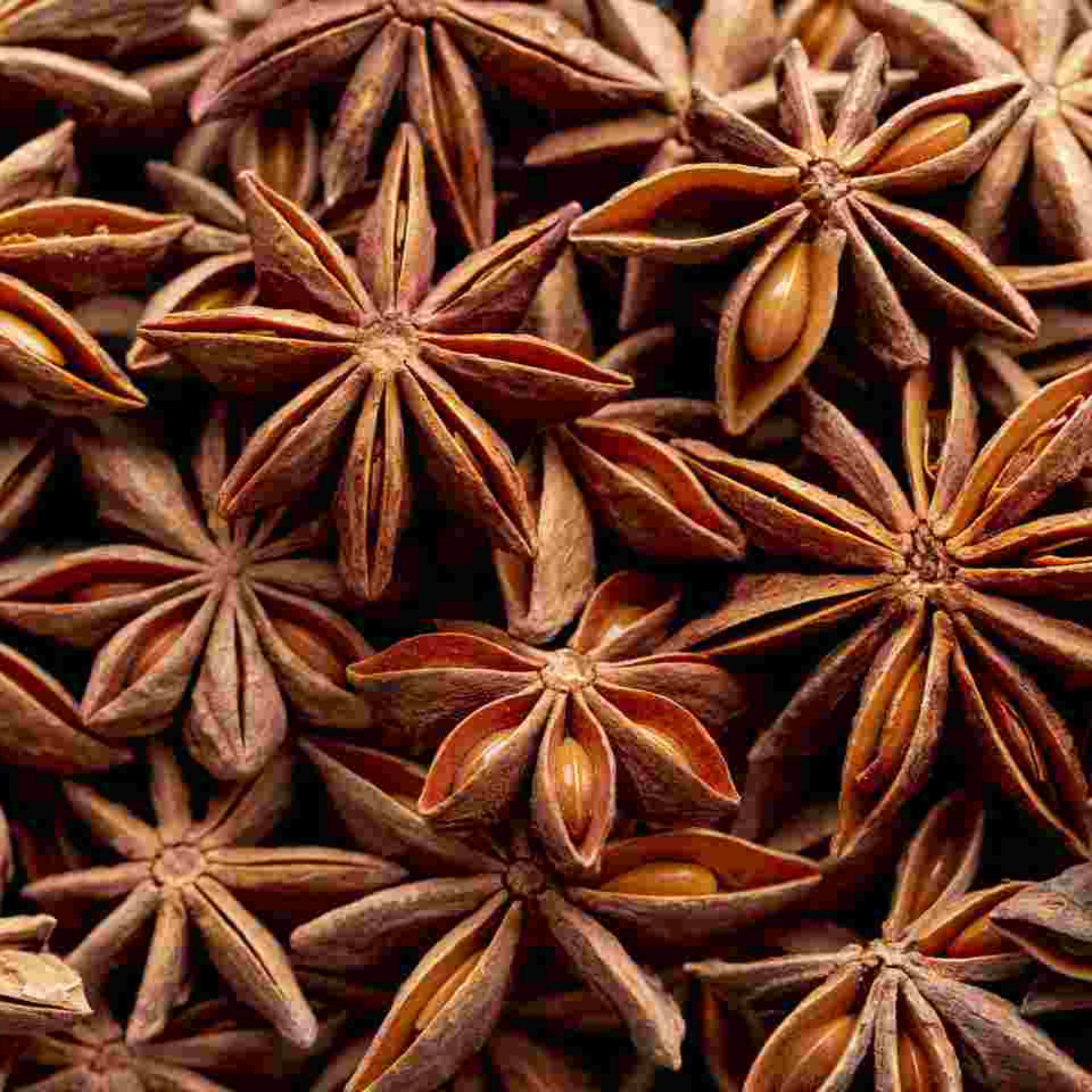 Star Anise Ground Powder | Organic Natural Badiyan | Premium Herbs and Spices