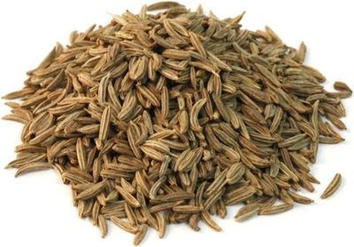 Gourmet Caraway Seeds by Its Delish, 16 Oz Large Jar