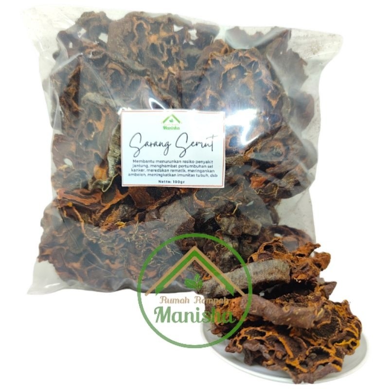 Sarang Semut Papua 100g Wild Dried Chunk Indonesian Botanical Tea