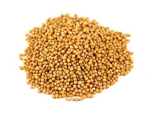 Yellow Mustard Seeds Spice Bulk Whole Seasoning Made in the india Free Shipping