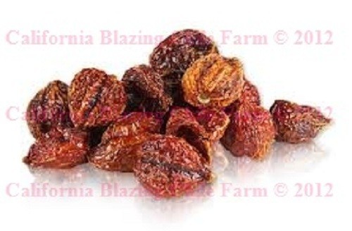 1 oz. Pure Habanero Powder and XXX-Hot! Orgaically grown and cultivated