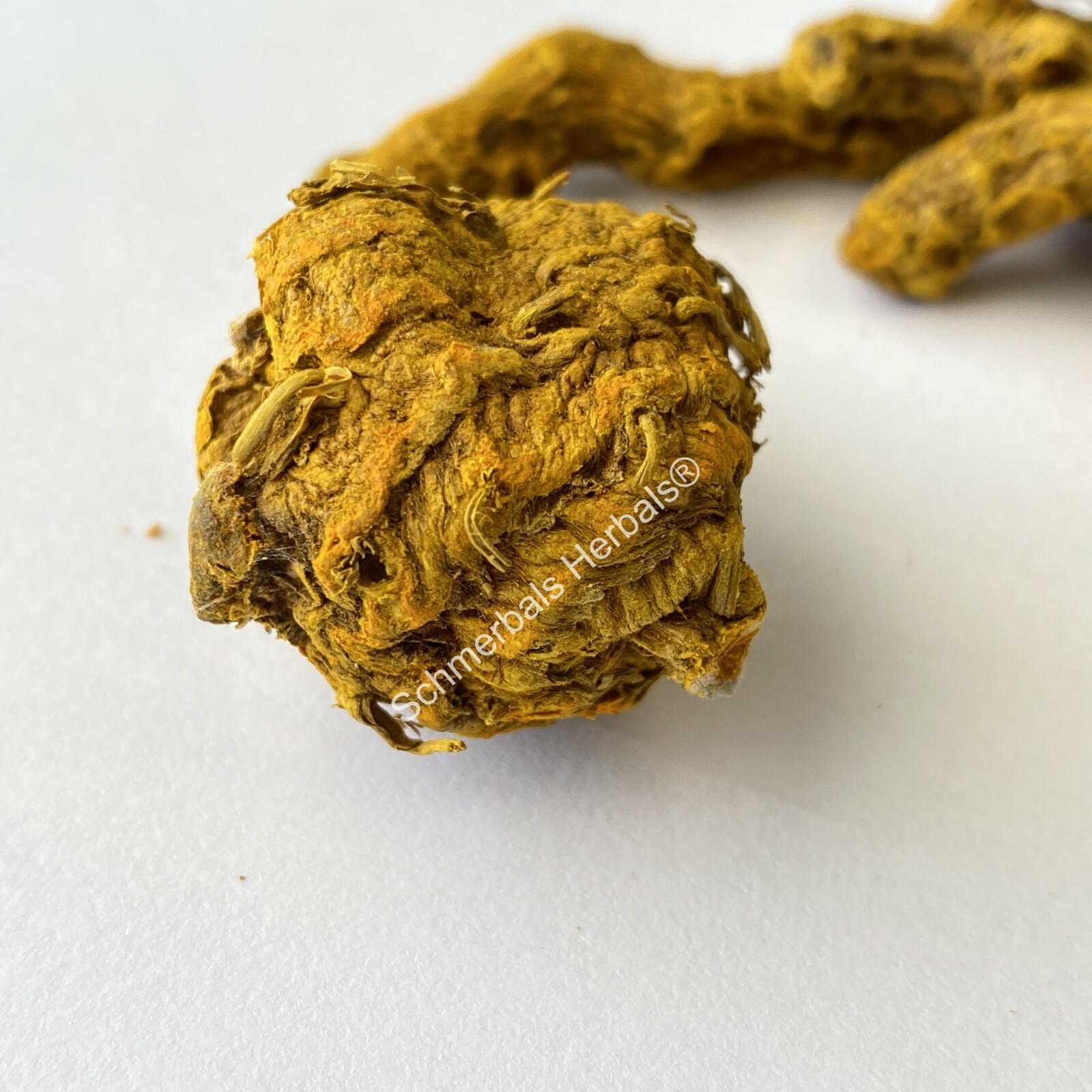 Turmeric, Curcuma longa, “Common Turmeric” Pieces ~ Schmerbals Herbals