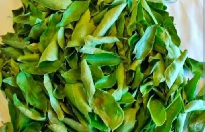 Ceylon Natural dried curry leaves