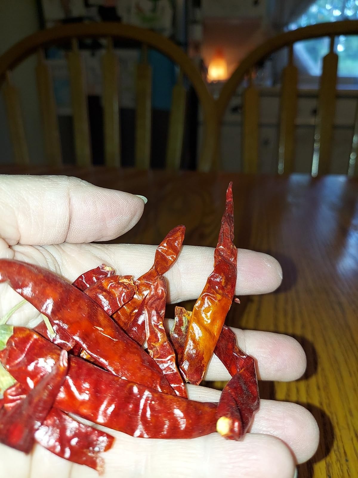 Dried Peppers 6 Pack Bundle -Ancho, Guajillo, Pasilla, Arbol, Chipotle, Cascabel