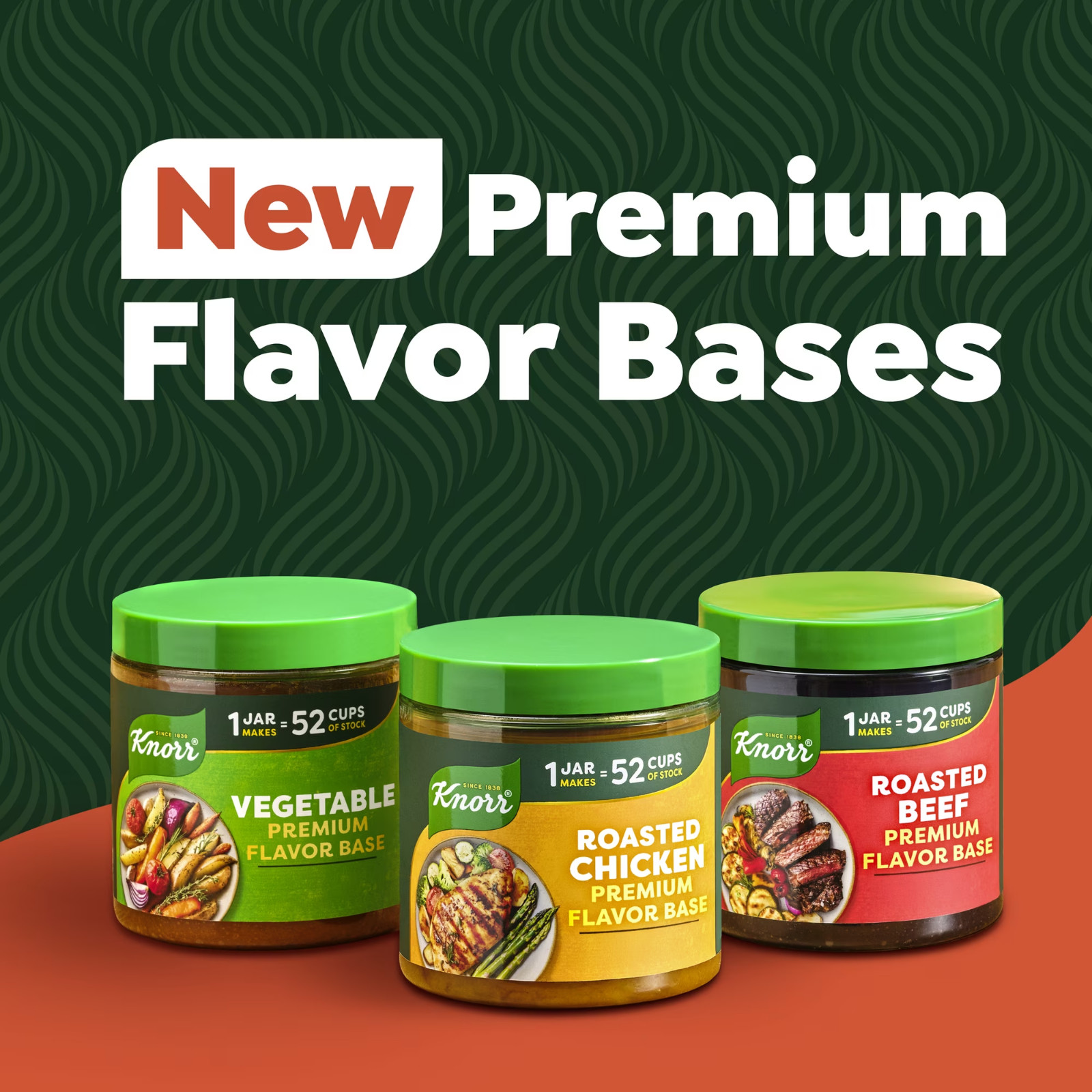 Roasted Chicken Flavor Base Concentrate, 11 oz Free Shipping in 2 days……