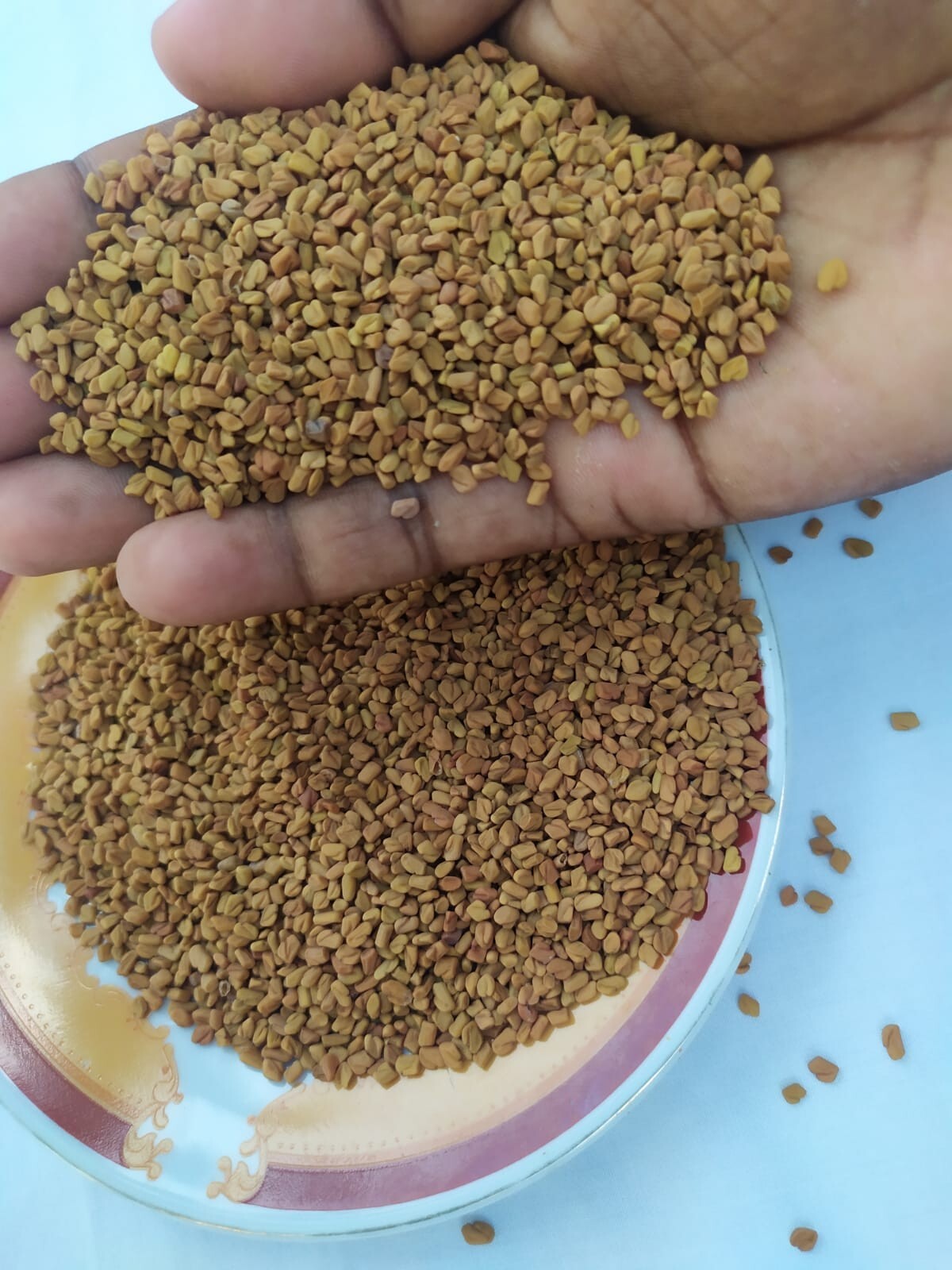 Ceylon Organic FENUGREEK Seeds Whole, Quality Pure Natural Spices Freeshipping