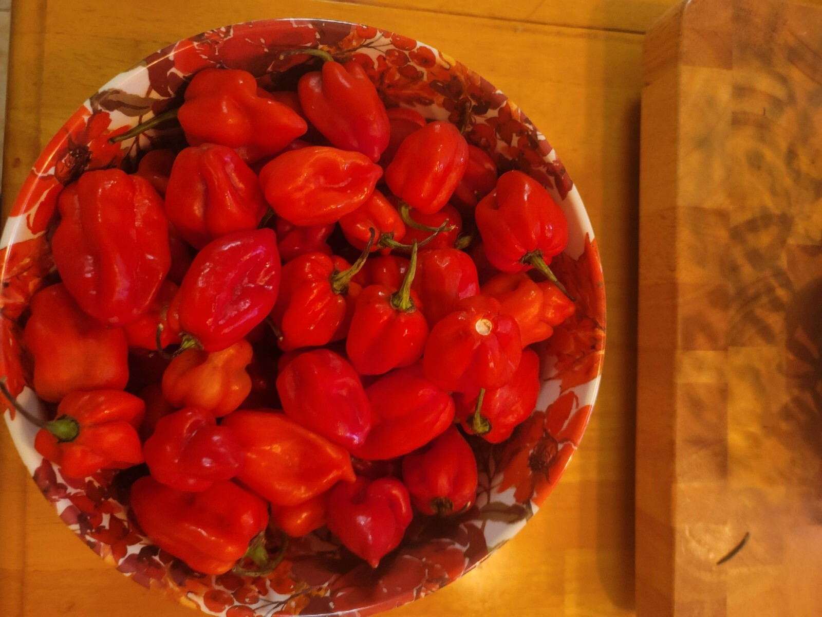 3 Pound Fresh Red Habanero Chili Peppers