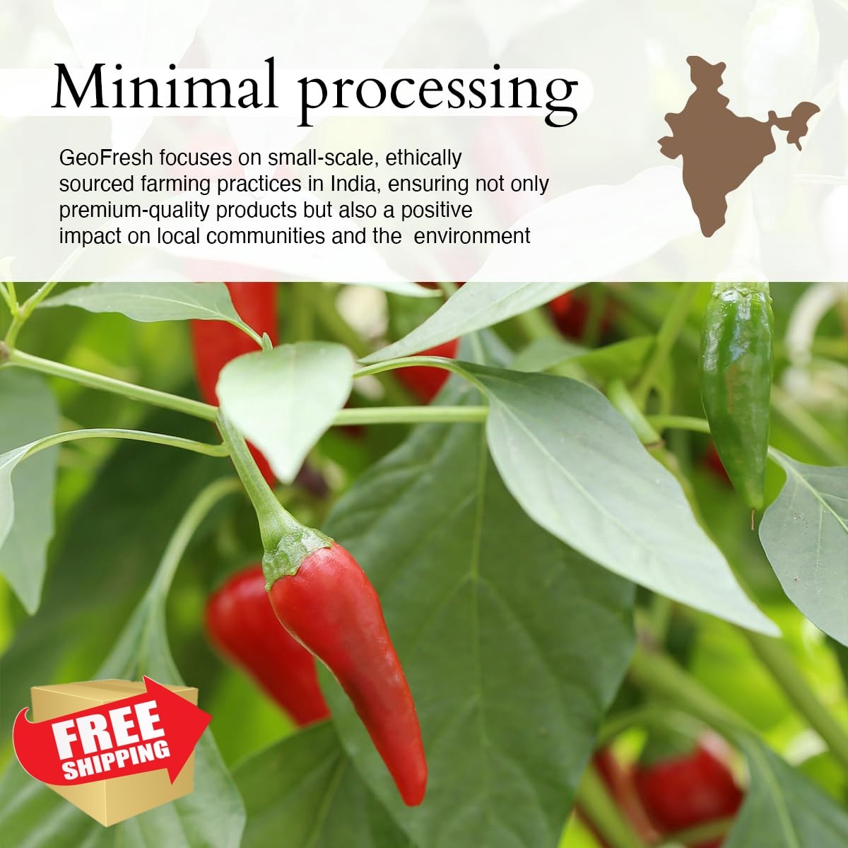 Geo-Fresh Organic Cayenne Pepper Powder, 1.76 oz (50g) – Spicy and Aromatic C…