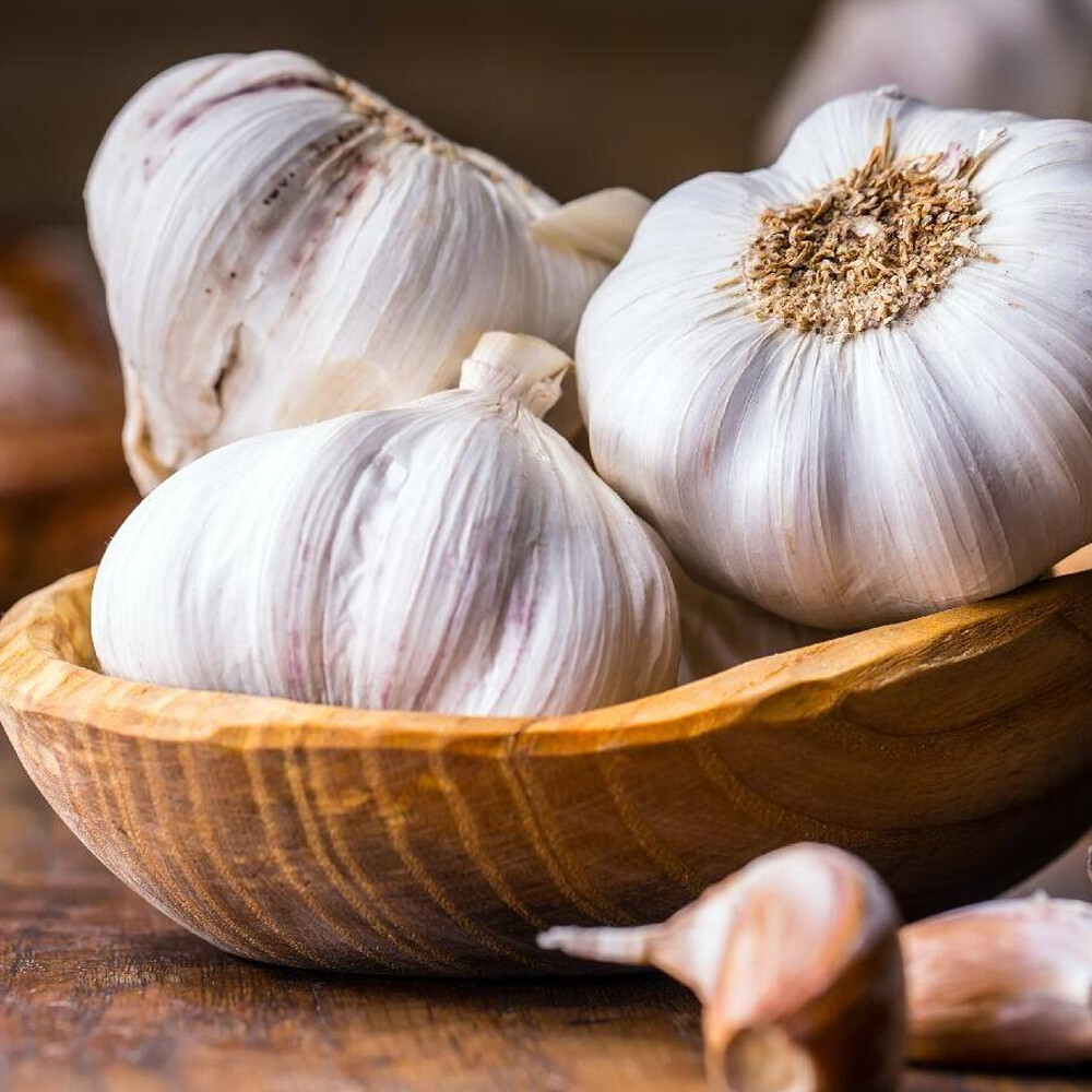 Indian Spices Masale Garlic Lehsun Pure Organic 10-1000 gm Free Ship