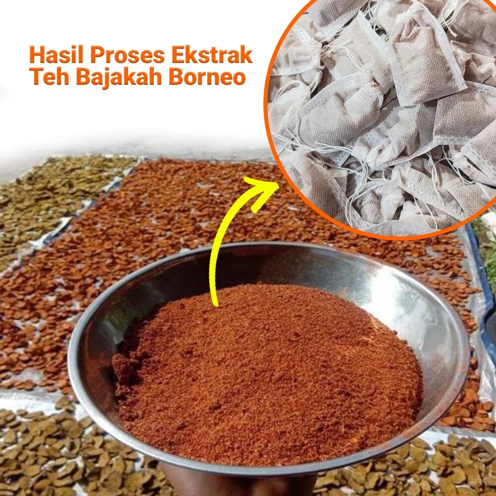 BAJAKAH TEA Tampala Super Root Extract Natural Organic Herb Spices Pure Hygienic