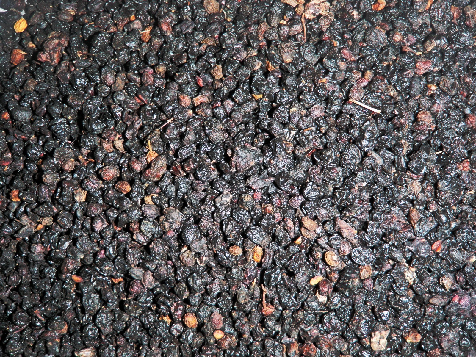Dried Elderberries Sambucus Nigra -Wine Beer 1 oz.- 10 lbs. Elder Berry