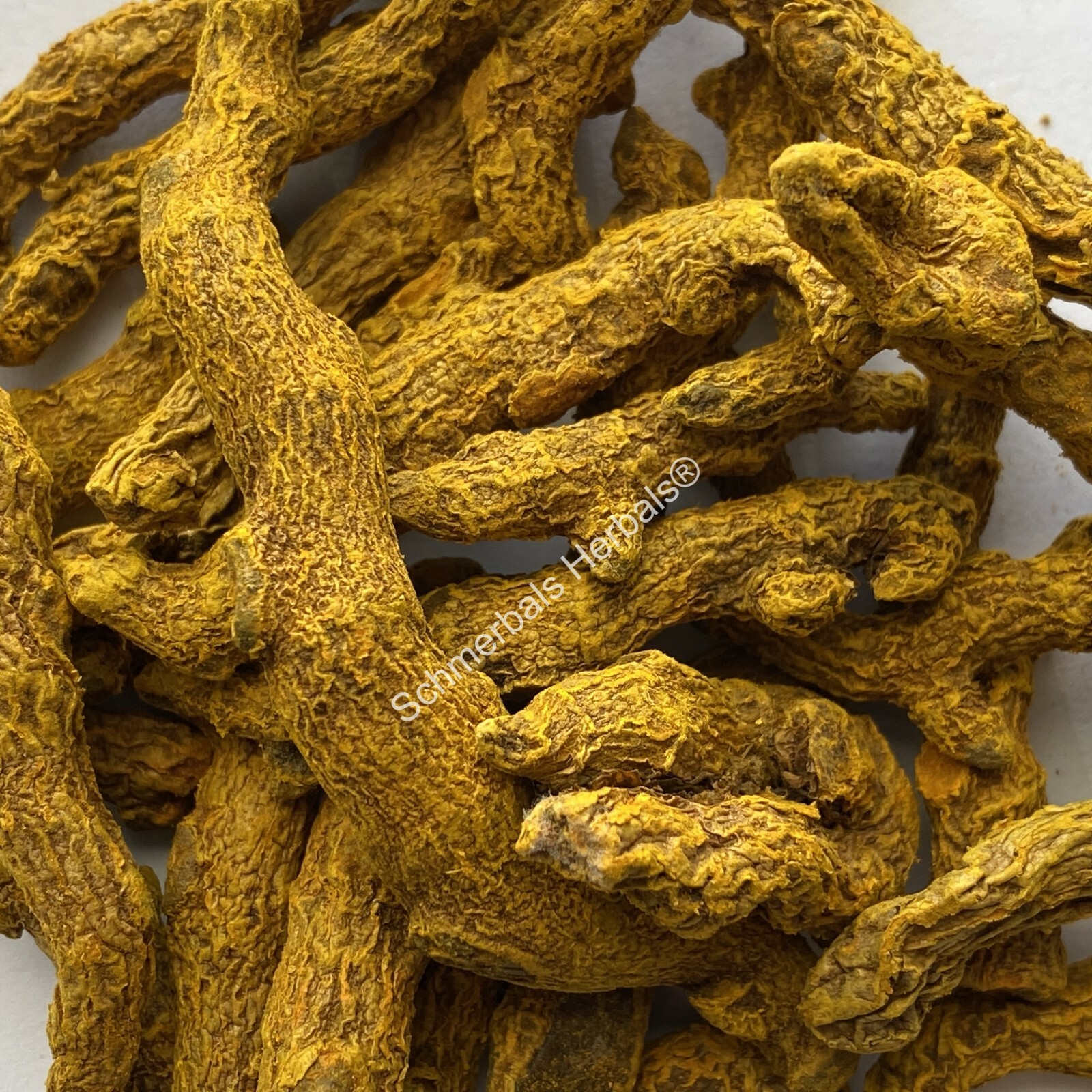Turmeric, Curcuma longa, “Common Turmeric” Pieces ~ Schmerbals Herbals