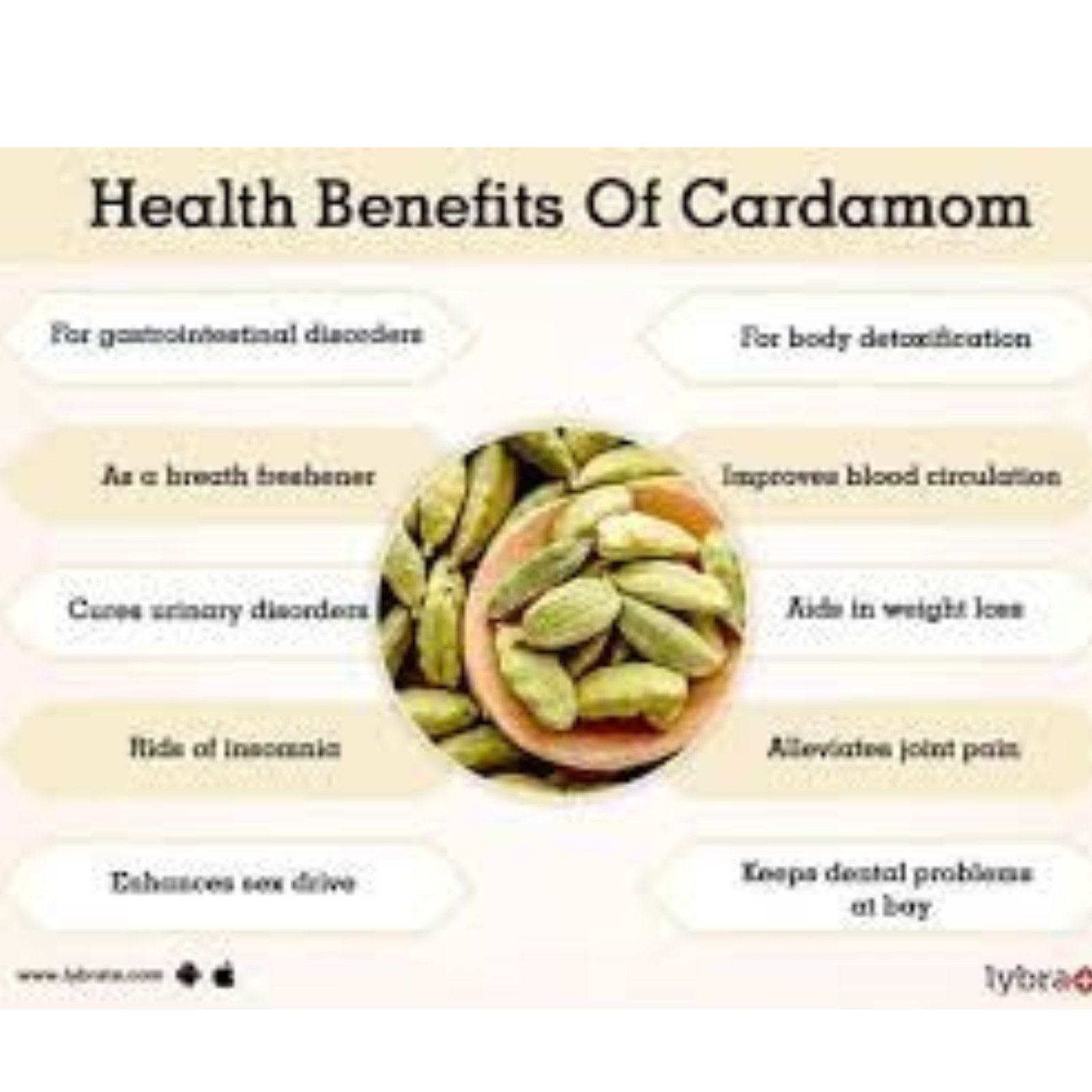 Organic Cardamom seeds pods Pure Natural Ceylon spices premium quality grade A
