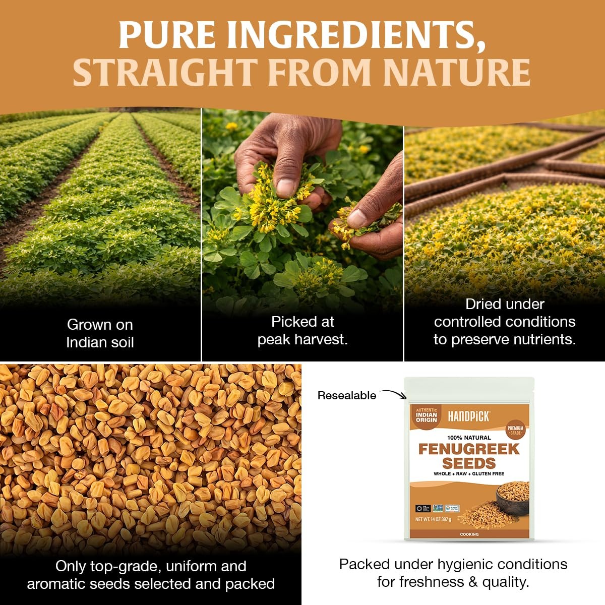 Fenugreek Seeds 14oz – Whole Methi, Indian Origin, Resealable Pouch