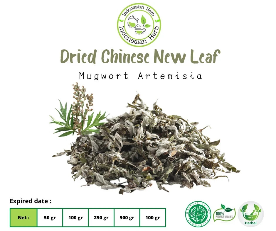 Dried Chinese New Leaf / Mugwort Artemisia Vulgaris Premium Organic Herbs Spices